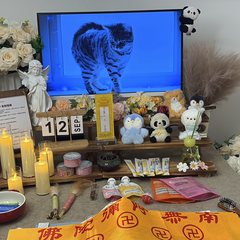 宠物家长客户见证