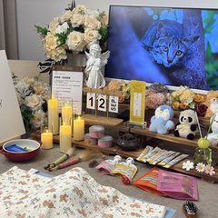 宠物家长客户见证