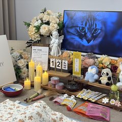 宠物家长客户见证