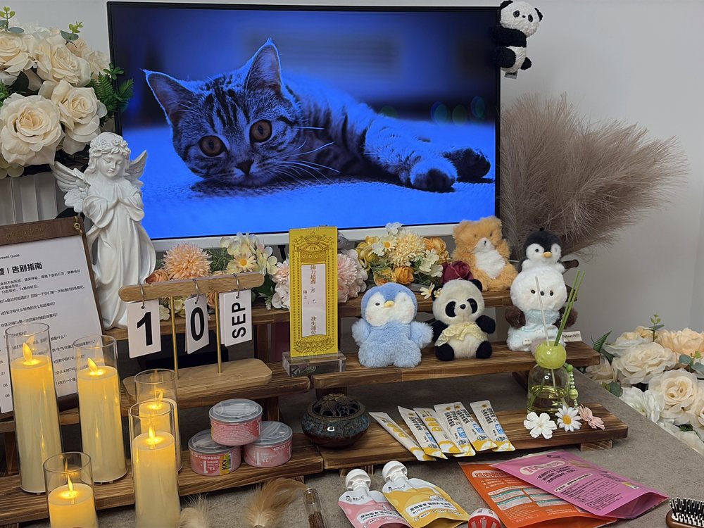 宠物告别仪式现场布置